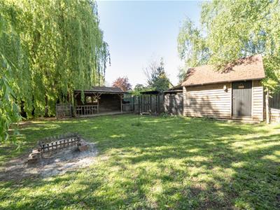 Picture 20